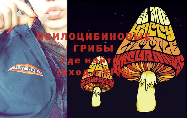 герыч Вяземский