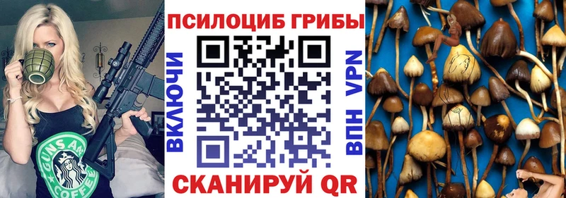 Галлюциногенные грибы Cubensis Дальнегорск
